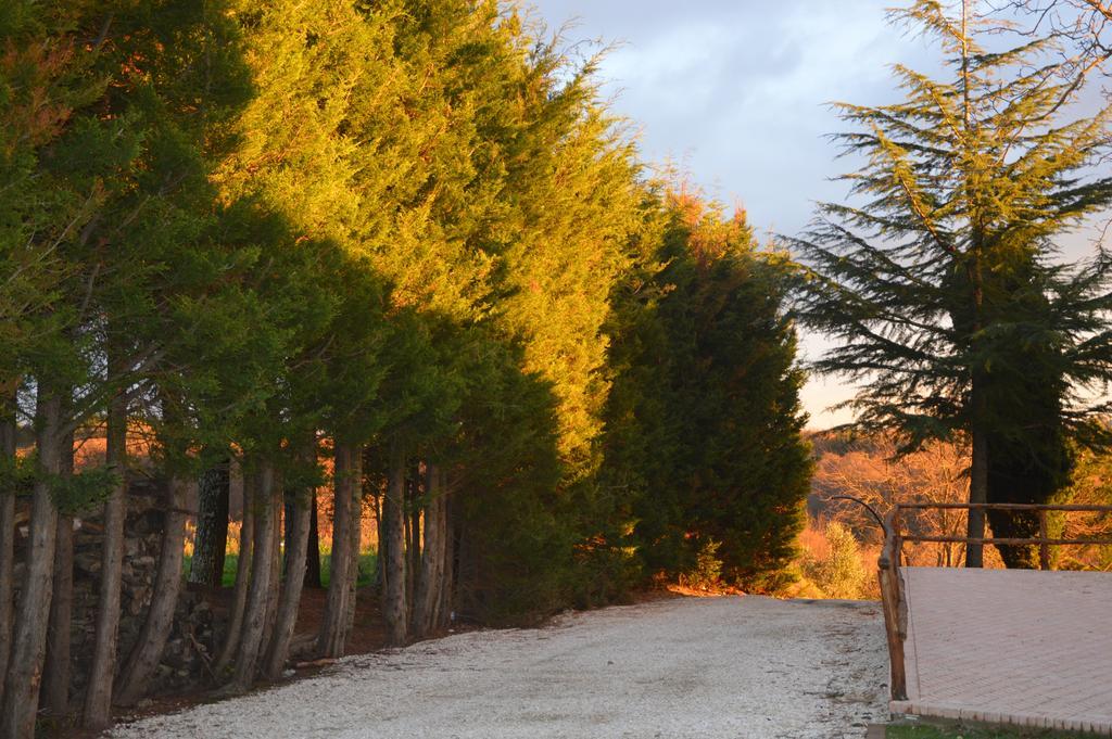 Agriturismo La Collina Питильяно Экстерьер фото