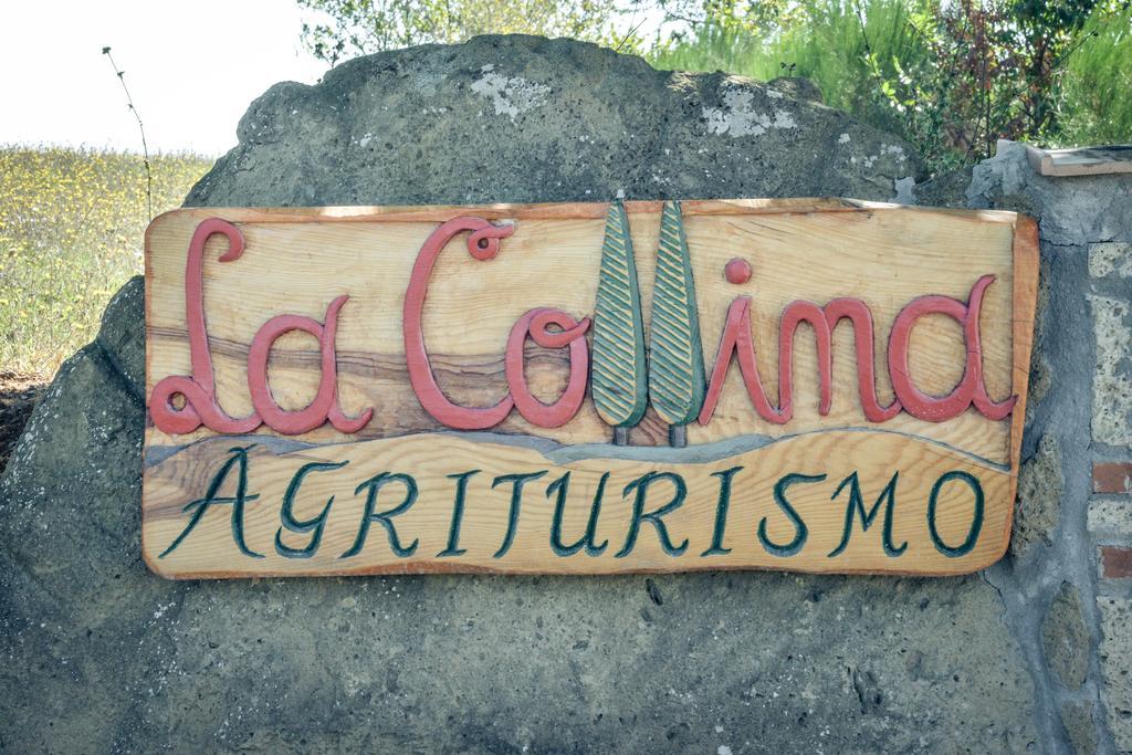 Agriturismo La Collina Питильяно Экстерьер фото